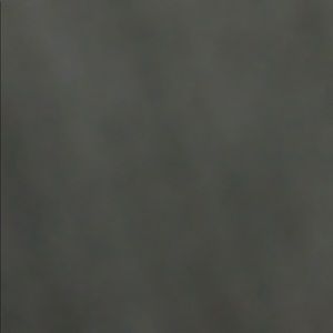 Meet your Posher, Tasha